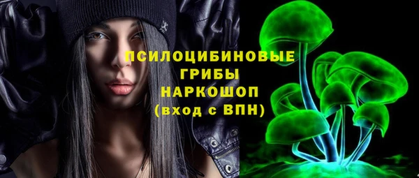 ешки Кукмор