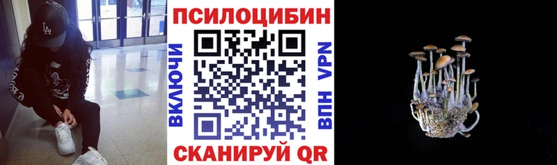 Купить  Ардатов  Псилоцибиновые грибы GOLDEN TEACHER 