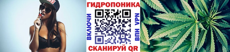 Купить где  Ардатов  МАРИХУАНА ГИДРОПОН 